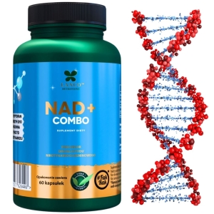 NAD+ Combo 730mg - Dinukleotyd nikotynamidoadeninowy (4 prekursory) - Koenzym Q10, Apigenina, L-tryptofan, Rybozyd Nikotynamidu NR - Longevity Formula- 60 kaps 